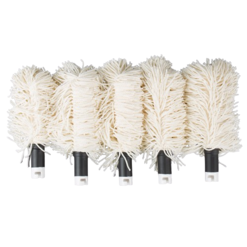 Campus Products GP5-SET Kit de 5 brosses de rechange StemShine pour polisseuse à verre GP5